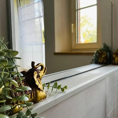 Grand F2 Proche Du Centre Ville.